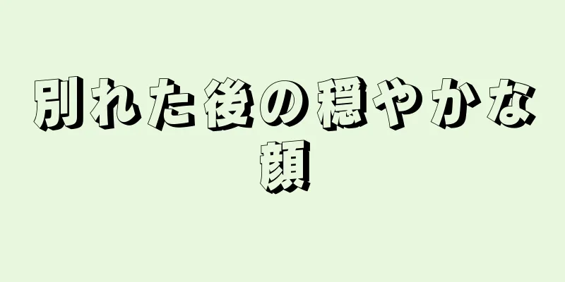 別れた後の穏やかな顔