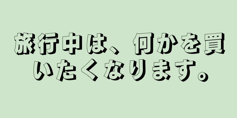 旅行中は、何かを買いたくなります。