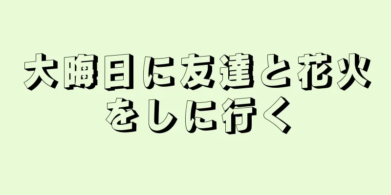 大晦日に友達と花火をしに行く