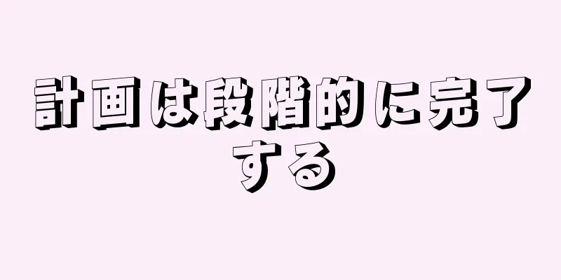 計画は段階的に完了する