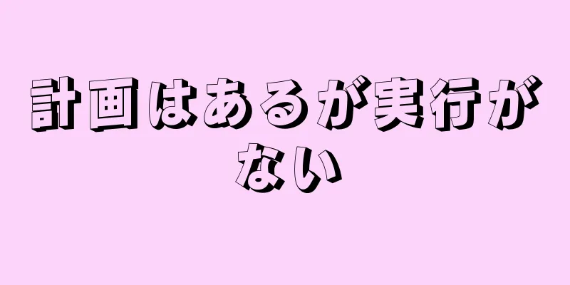 計画はあるが実行がない