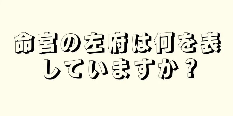 命宮の左府は何を表していますか？