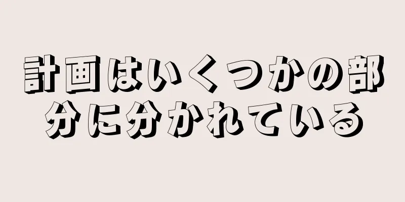 計画はいくつかの部分に分かれている