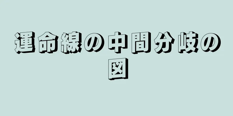 運命線の中間分岐の図