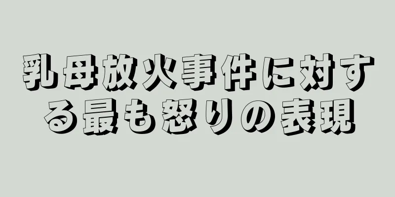 乳母放火事件に対する最も怒りの表現