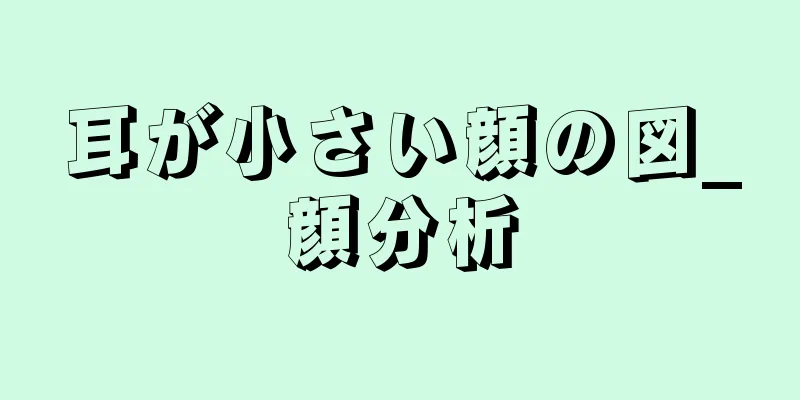 耳が小さい顔の図_顔分析