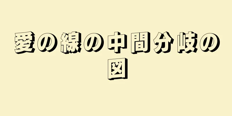 愛の線の中間分岐の図