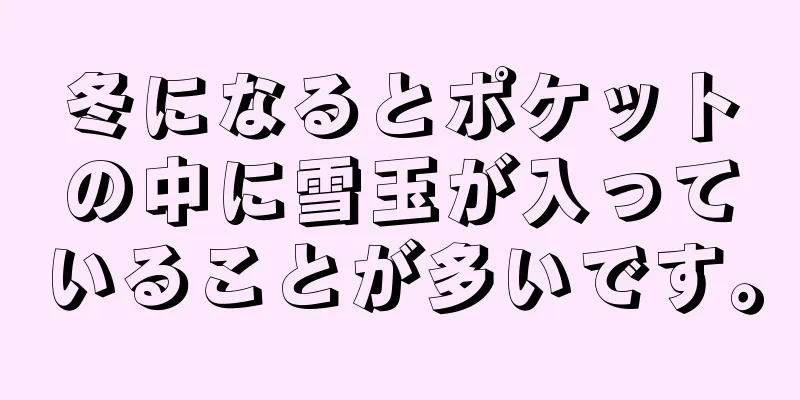 冬になるとポケットの中に雪玉が入っていることが多いです。