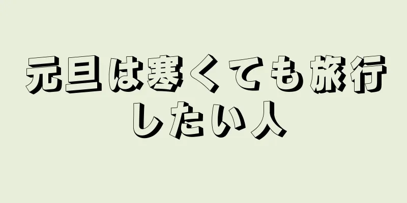 元旦は寒くても旅行したい人