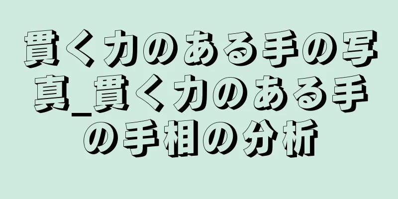 貫く力のある手の写真_貫く力のある手の手相の分析