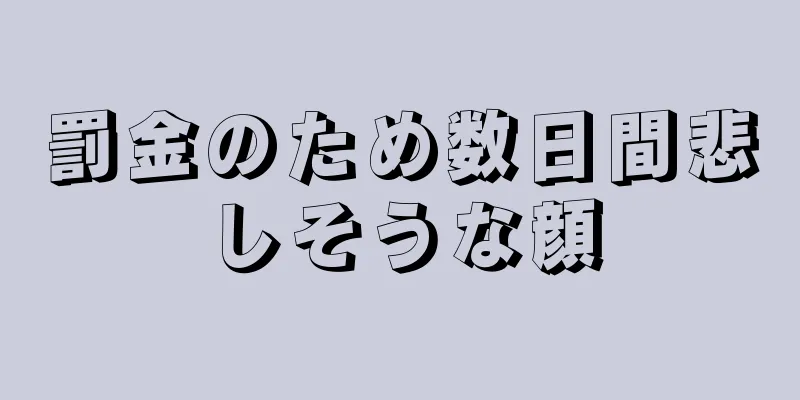 罰金のため数日間悲しそうな顔