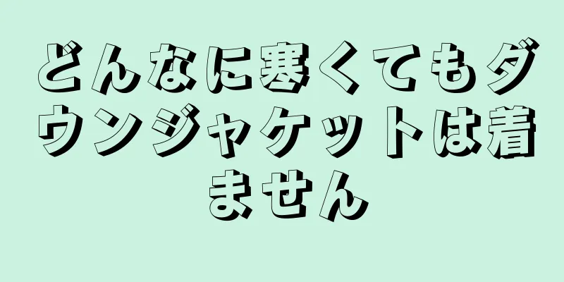 どんなに寒くてもダウンジャケットは着ません