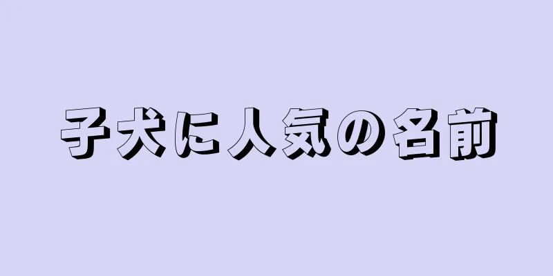 子犬に人気の名前