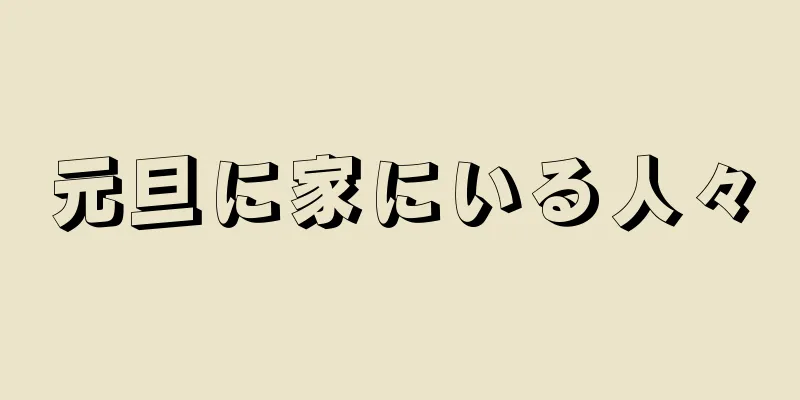 元旦に家にいる人々