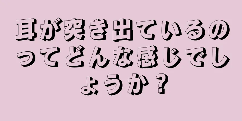 耳が突き出ているのってどんな感じでしょうか？