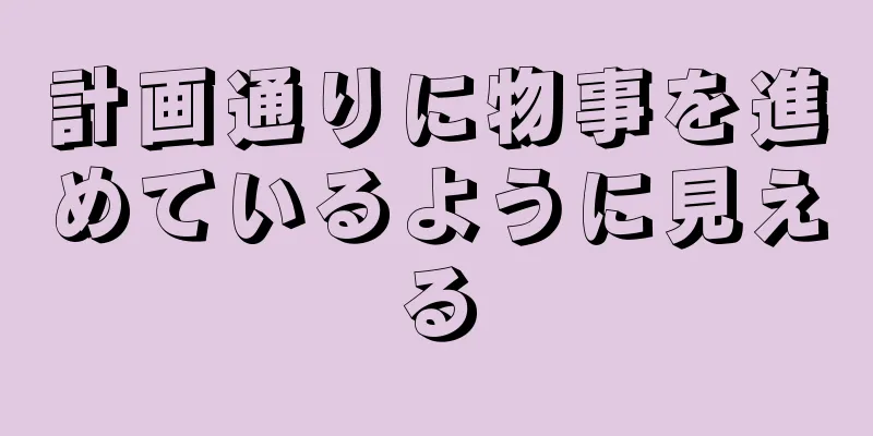 計画通りに物事を進めているように見える