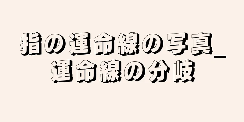 指の運命線の写真_運命線の分岐