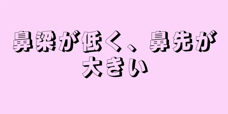 鼻梁が低く、鼻先が大きい