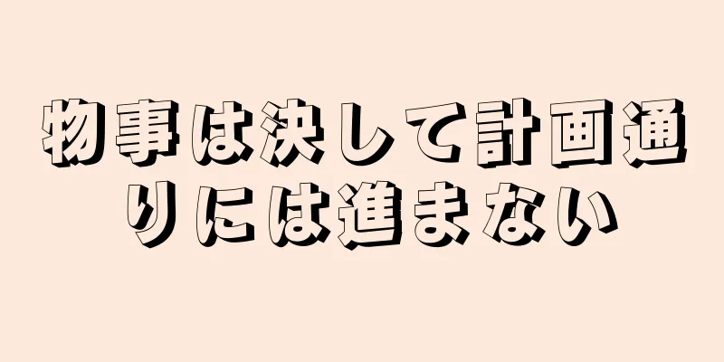 物事は決して計画通りには進まない