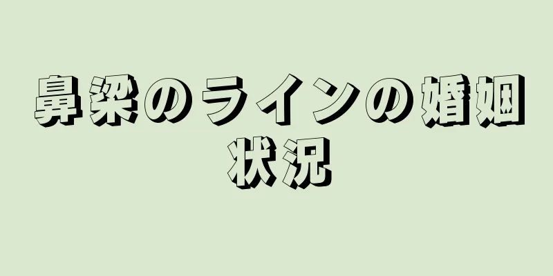 鼻梁のラインの婚姻状況