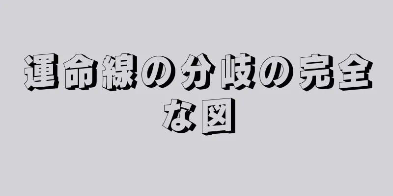 運命線の分岐の完全な図