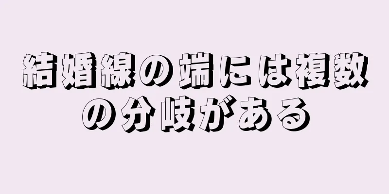 結婚線の端には複数の分岐がある