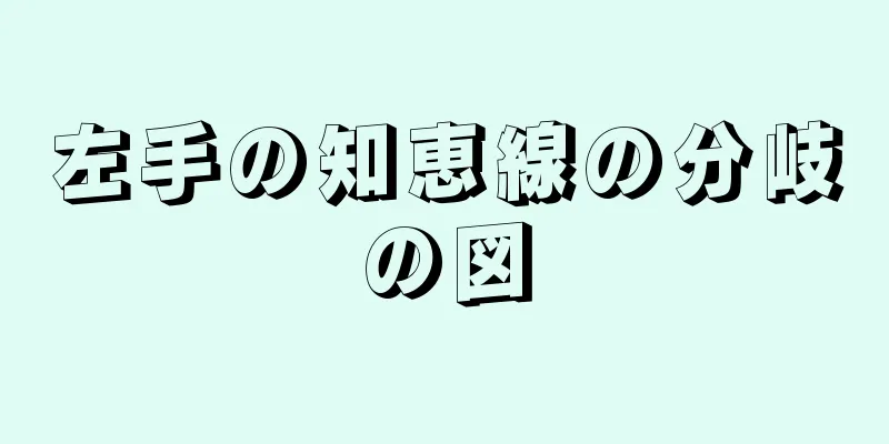 左手の知恵線の分岐の図