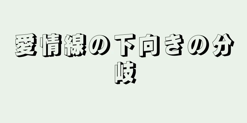 愛情線の下向きの分岐
