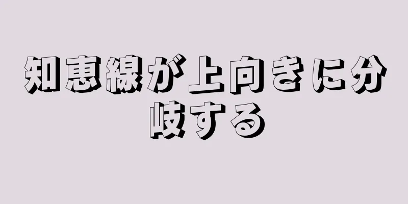 知恵線が上向きに分岐する