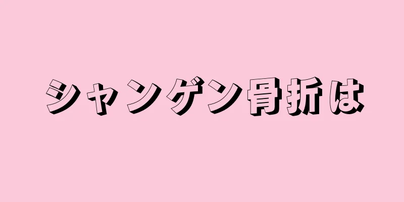 シャンゲン骨折は