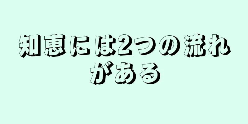 知恵には2つの流れがある