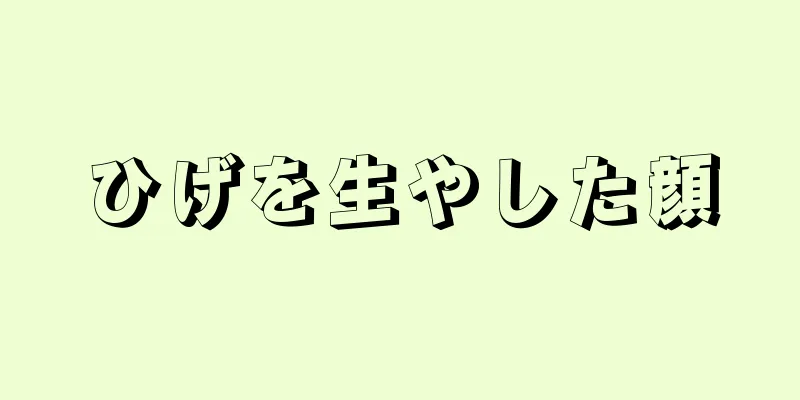 ひげを生やした顔