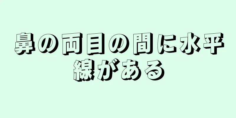 鼻の両目の間に水平線がある