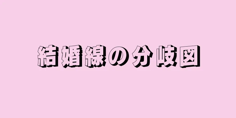 結婚線の分岐図