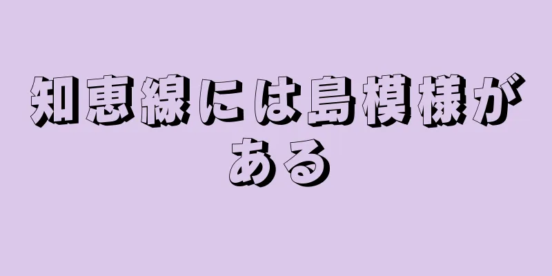 知恵線には島模様がある