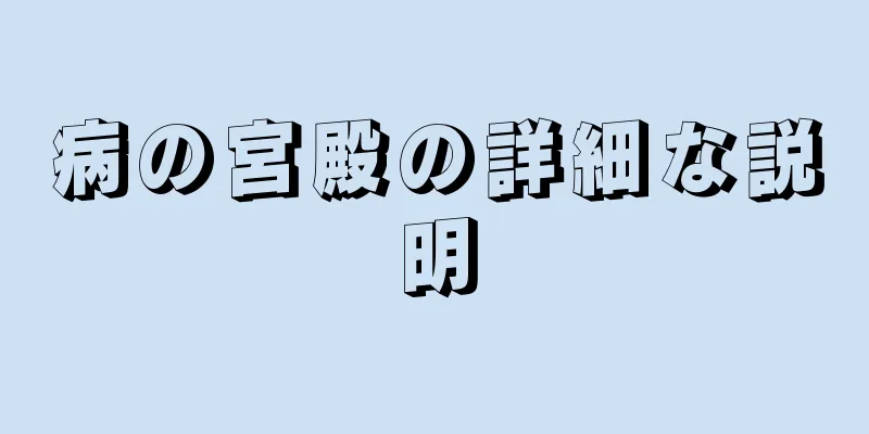 病の宮殿の詳細な説明