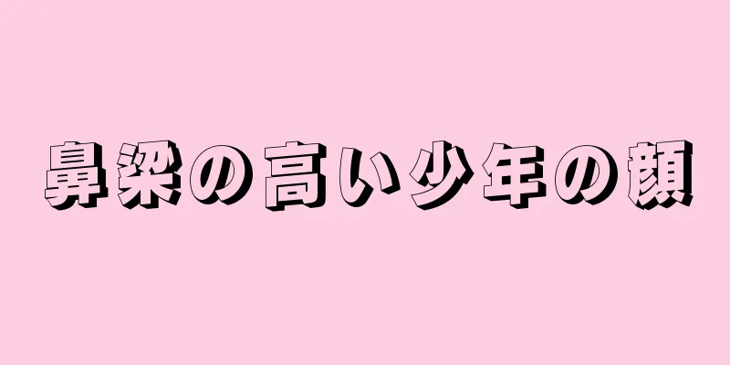 鼻梁の高い少年の顔