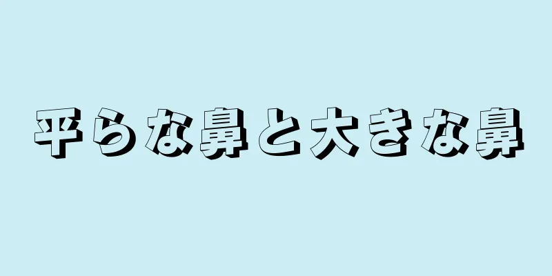 平らな鼻と大きな鼻