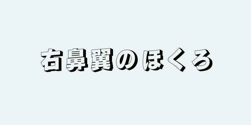 右鼻翼のほくろ