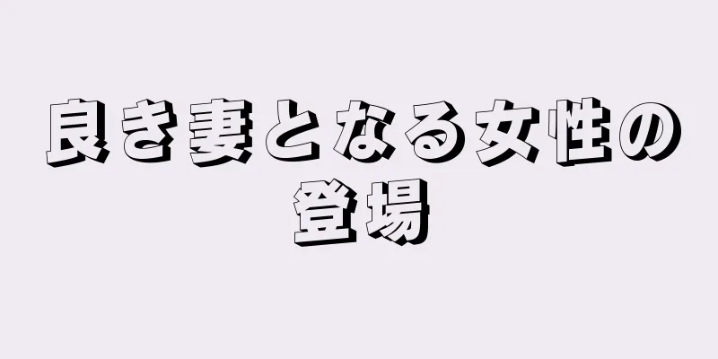 良き妻となる女性の登場