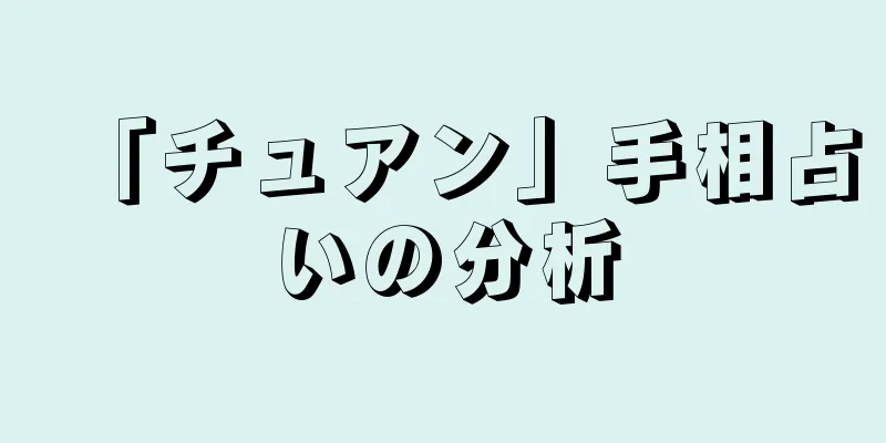 「チュアン」手相占いの分析