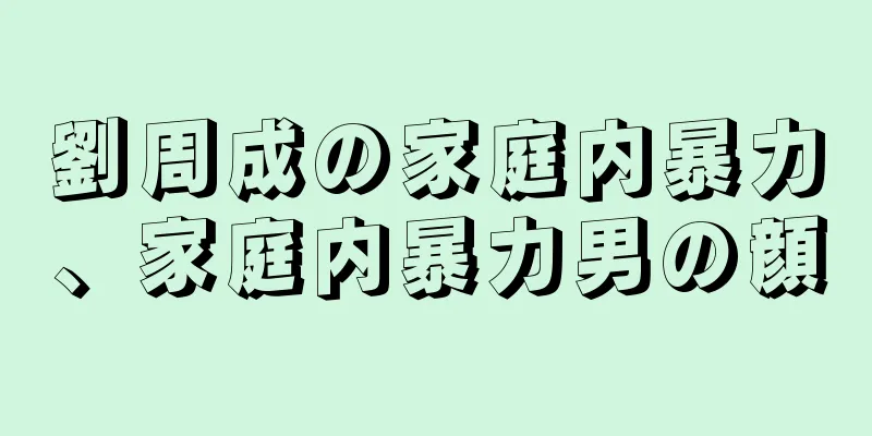 劉周成の家庭内暴力、家庭内暴力男の顔