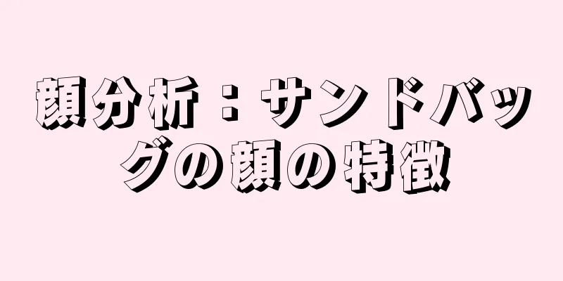 顔分析：サンドバッグの顔の特徴